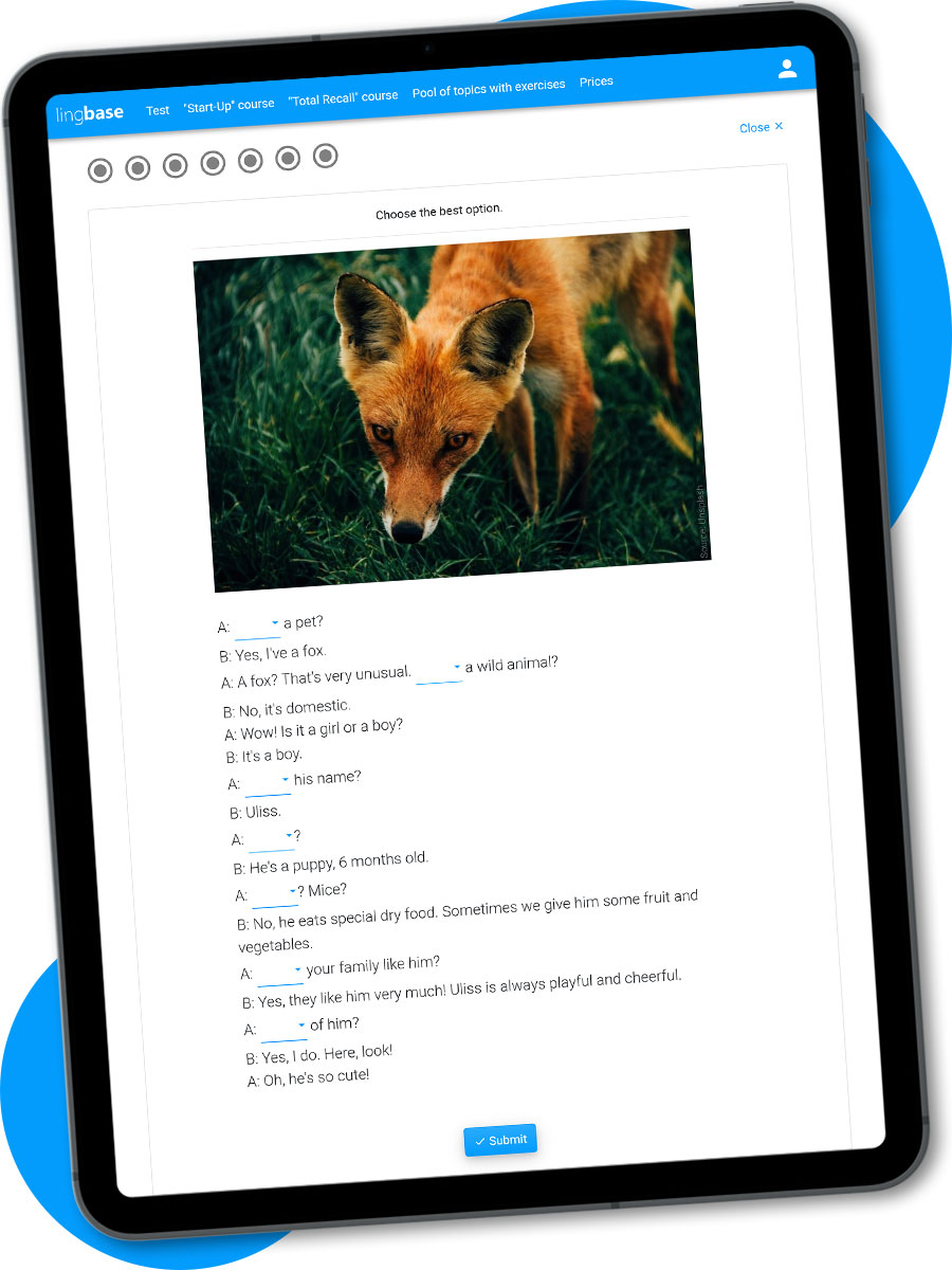 Beginner course screenshot