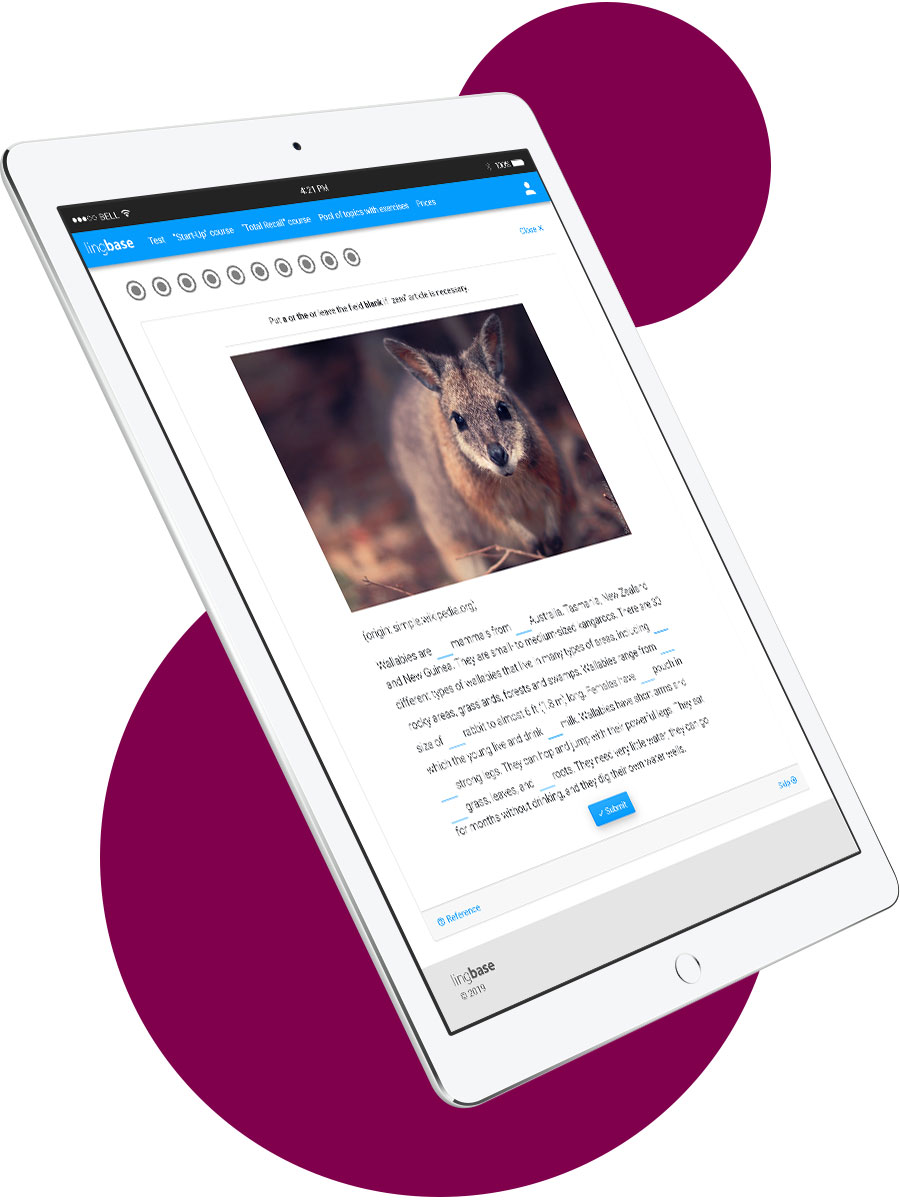 Intermediate course screenshot